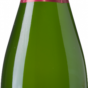 Georges Clement Champagne AC Brut