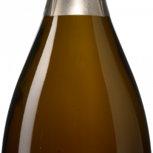 Paul Louis Martin 'Bouzy' Champagne Grand Cru Extra Brut